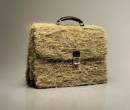 Bag.jpg