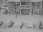 Snow.jpg