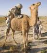 Hump.jpg