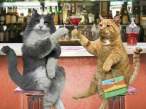 Cheers.jpg