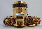 golden_pentax_002.jpg