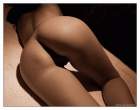 Bottom [18+].jpg