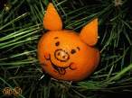 Orange pig.jpg