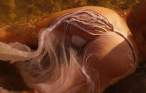 Wet [18+].jpg