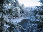 Winter.jpg