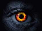 Eye.jpg