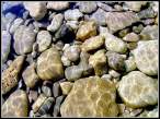 Rock.jpg