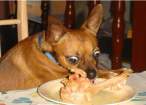 Hungry.jpg