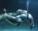 Sea elephants.jpg