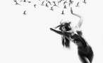 Birds [18+].jpg
