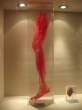 Leg.jpg