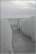 Cold.jpeg