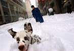 Dashing thru the snow.jpg