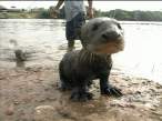 Wet and muddy.jpg