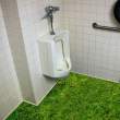 Grass.jpg