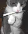 Weed.jpg