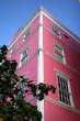 Pink Building.jpg
