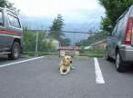 Save The Parking Spot.jpg