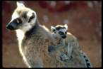 Back ride.jpg