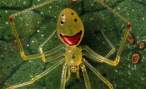 smile_spider-b1b.jpg