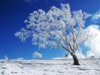 Winter.pg.jpg