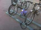 Bike.jpg