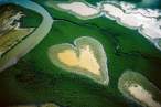 Love fields.jpg