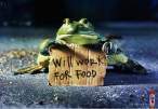 will work for food.jpg