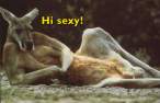 hi sexy.jpg