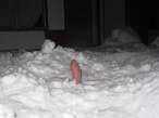 Chill [18+].jpg