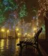 Lights.jpg