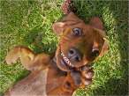 Keep Smiling.jpg