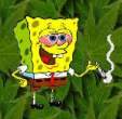 Sponge Bob.jpeg