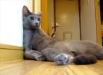 Chillin'.jpg