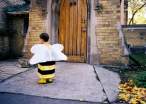 Bee.jpg