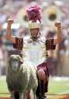 Mascot Mayhem.jpg