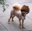 Mad hair day.jpg