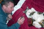 Wasted kitty.jpg