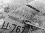 The tail section of Maj. Asla's F-86E downed by Capt. Ivanov on Aug. 1, 1952..jpg