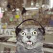 gh- techno.gif