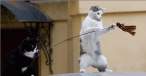 Catch.jpg