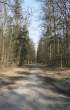 Road To Nowhere.jpg