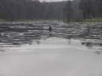 Lake.jpg