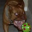 My ball.jpg