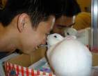 Wabbit kiss.jpg