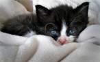 Behind Blue Eyes.jpg