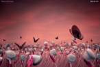 Folow Your Ears.jpg