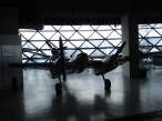 DSC00348.jpg