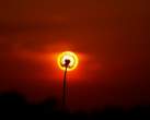 Sun.jpg