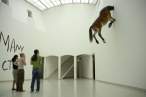 Horse.jpg